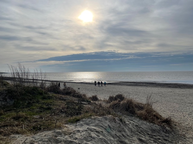 Duinen